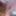 Msnovember Step Dad Fuck My Ass Rough Doggystyle Ebony Sex