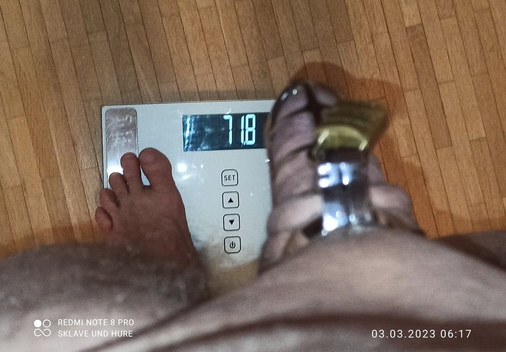 mandatory weighing and cagecheck of 03.03..2023 #6