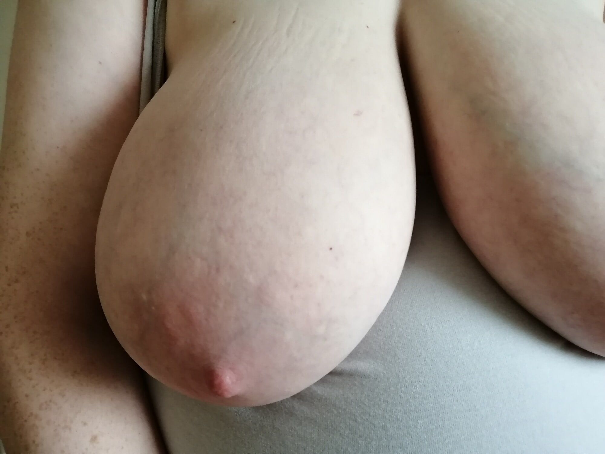 Good-quality photos of my tits #44