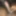 Bbc Cumshot YoungStarBrazy 