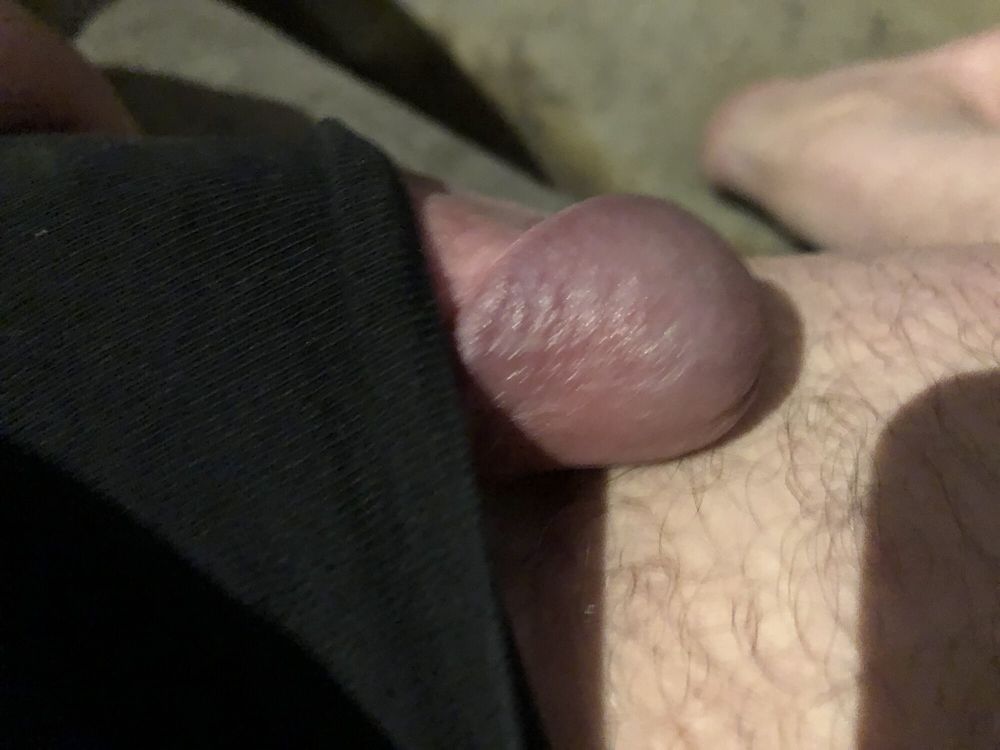 My cock tonight that could get excited quickly #4