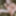 Pakistani hot wife Lahore 