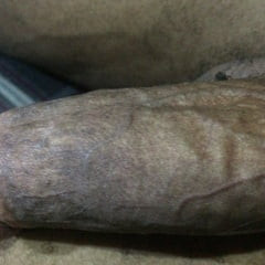 My Big Dick