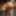 BDSM slave MKsubtility Real BDSM lifestyle couple 247 #7