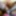 Mutual Masterbation and Footjob in Pantyhose Nylon Couple