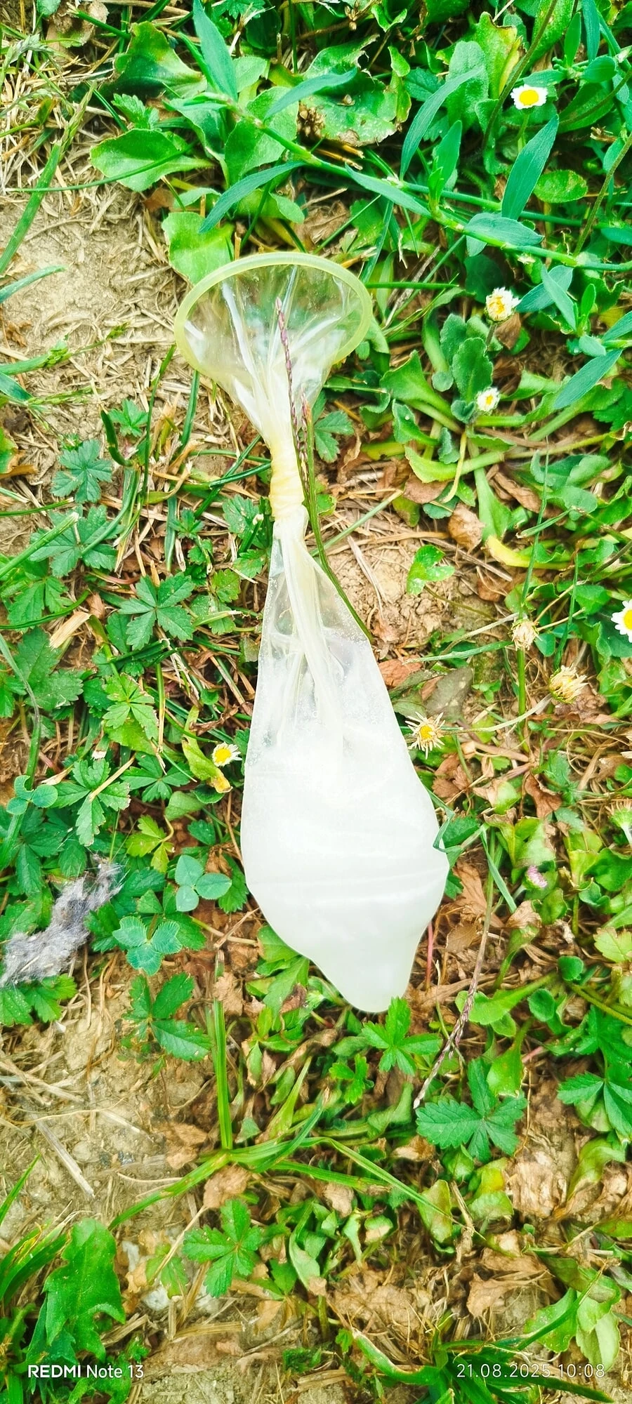 Cum in Condom