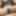 Hot wife