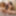Hot best friends using a sex toy