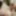 Bob&#039;s TGirls: Serena Bubbles Gets a Grand Entrance