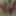 Annadevot - Enjoy my cunt in close-up #2