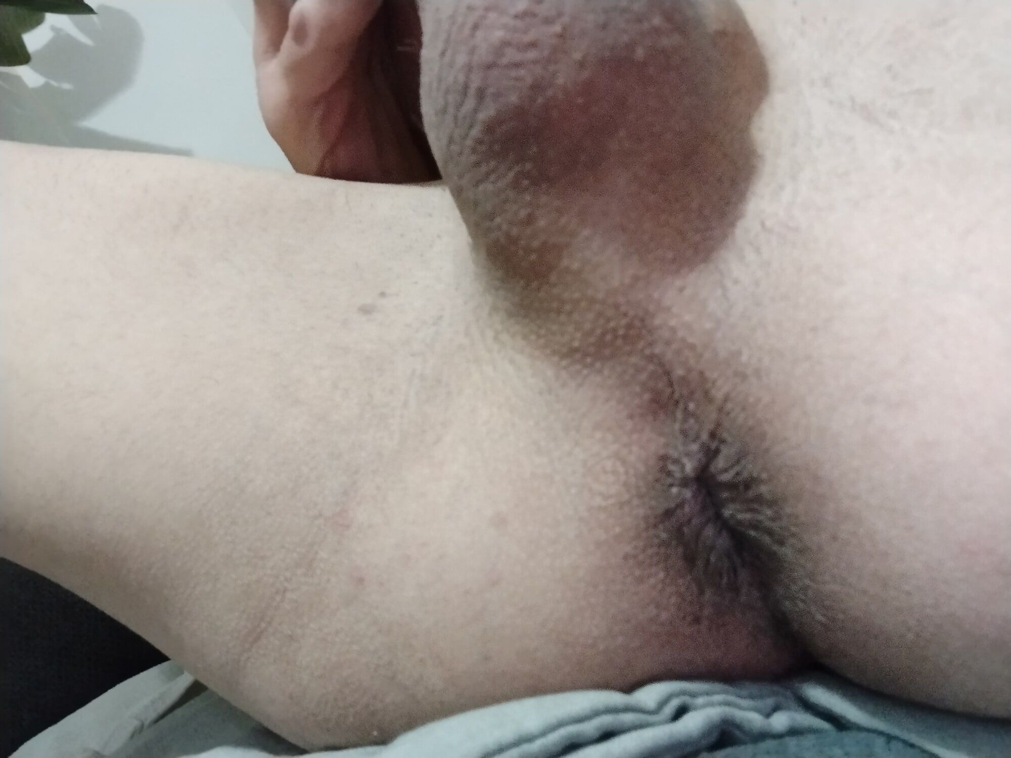 Shaved cock and asshole #19