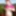 hot pregnant gypsy girl on casting