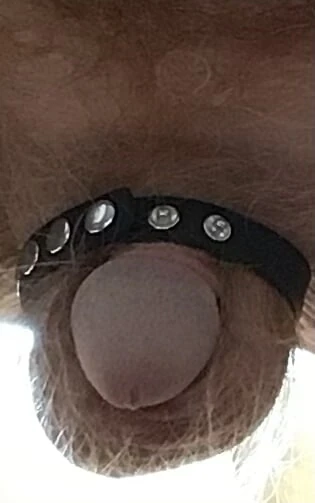 Cock exposed