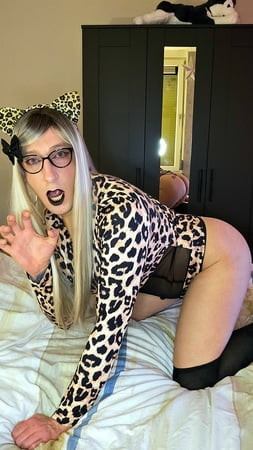 Sissy Leopard In Heat 🥵