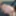 Rough BBC Fuck for Hairy Gaping Pussy #19