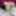 Alisya JC weekly photos №1 #5