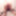Bound, gagged and plugged for Mistress&#039;s pleasure #2