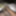 Recent dick pics