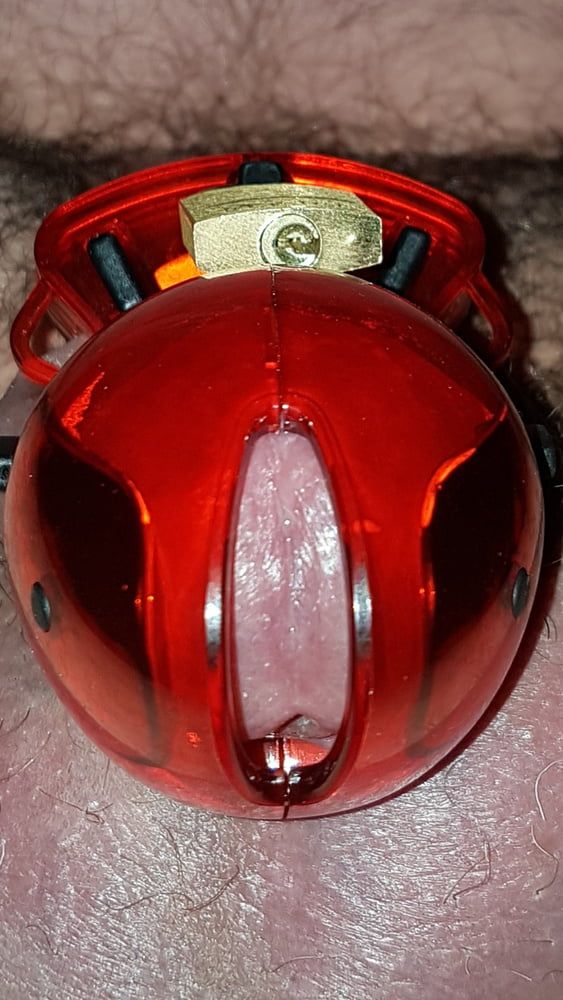 Chastity cage #5