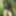 Naked in the forest #8
