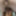 My cock (July-August 2025) #37