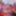 BBWXXXADVENTURES: Galentines Day Gone Wild: 10 BBW Lesbian O