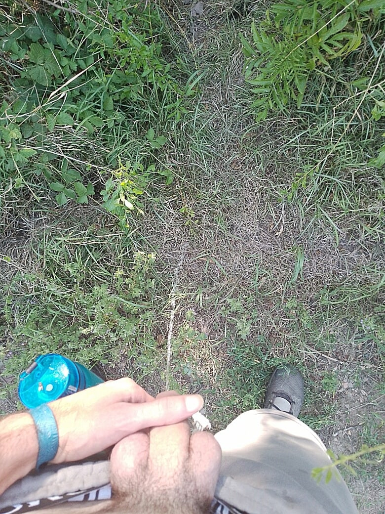 Nature #2