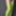 Green Mesh Lingerie #39