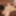 Miyu Morita :: Debut Vol.63 - CARIBBEANCOM #15