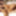 8TeenHub - Alektra Blue Loves Taking Loads To The Face #6
