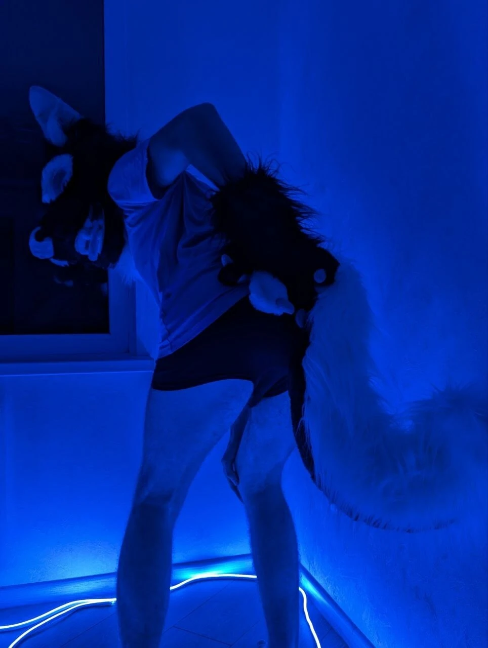 VacFurrDemon66 Fursuit
