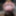 BBW wife sexy holiday #17