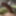 16 cm cock is looking for a woman 