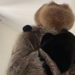 me n furs