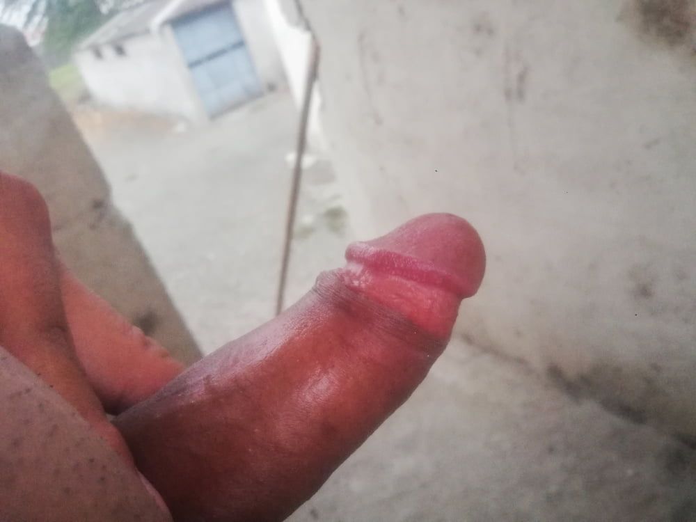 Ereccion desde las Alturas - Mi Rico Pene  #5