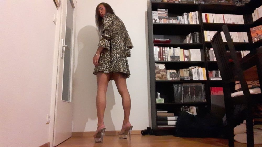 Sissy Tygra in leopard dress on 2019 octobre. #17