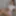 Ücretsiz Adele Fotoğrafları