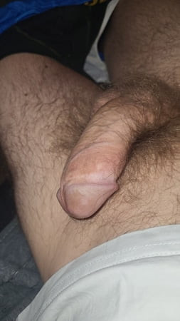 Cock