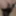Mandatory weighing cagecheck plugcheck January 03, 2024 #6