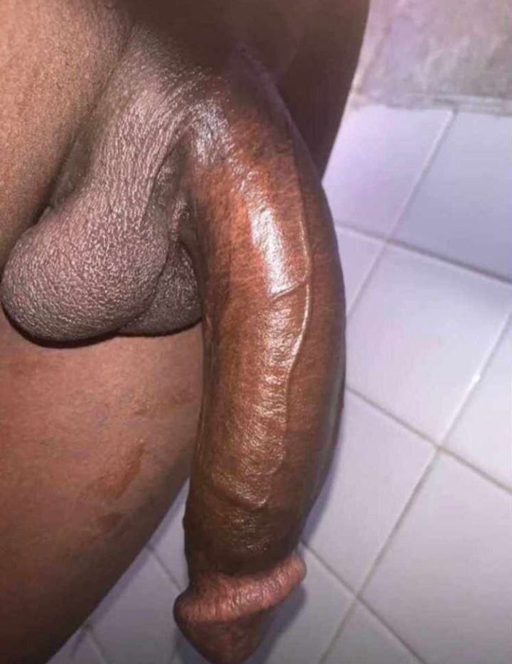 My bbc dick that bonked a princess 