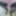 Nylons, und