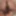 Piggy’s ass 4 u
