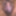 JoyTwoSex - My Meaty Labia