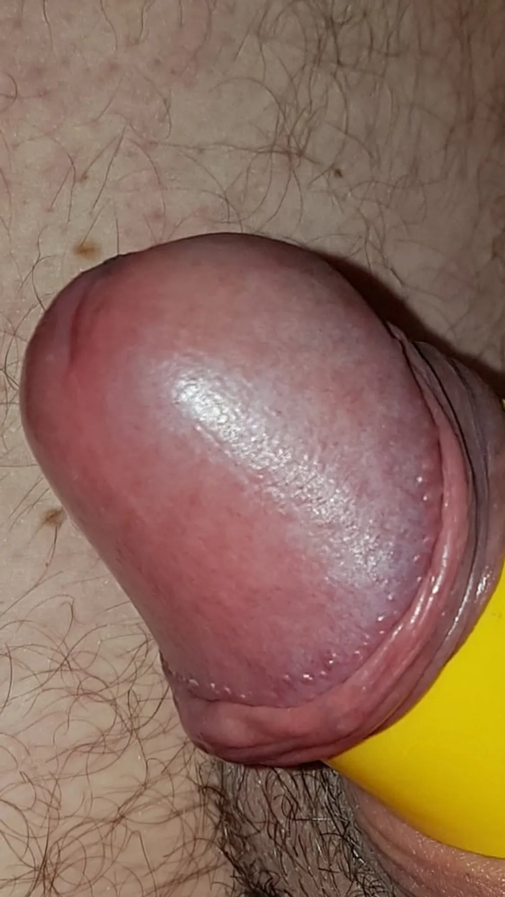 Cock ring #6