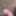 Outdoor Cumshot in the Forest – Mushroom Head Shoots Huge Lo