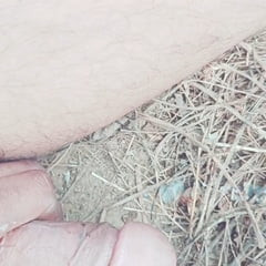 私のショットの写真
