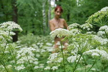 in white flowers           