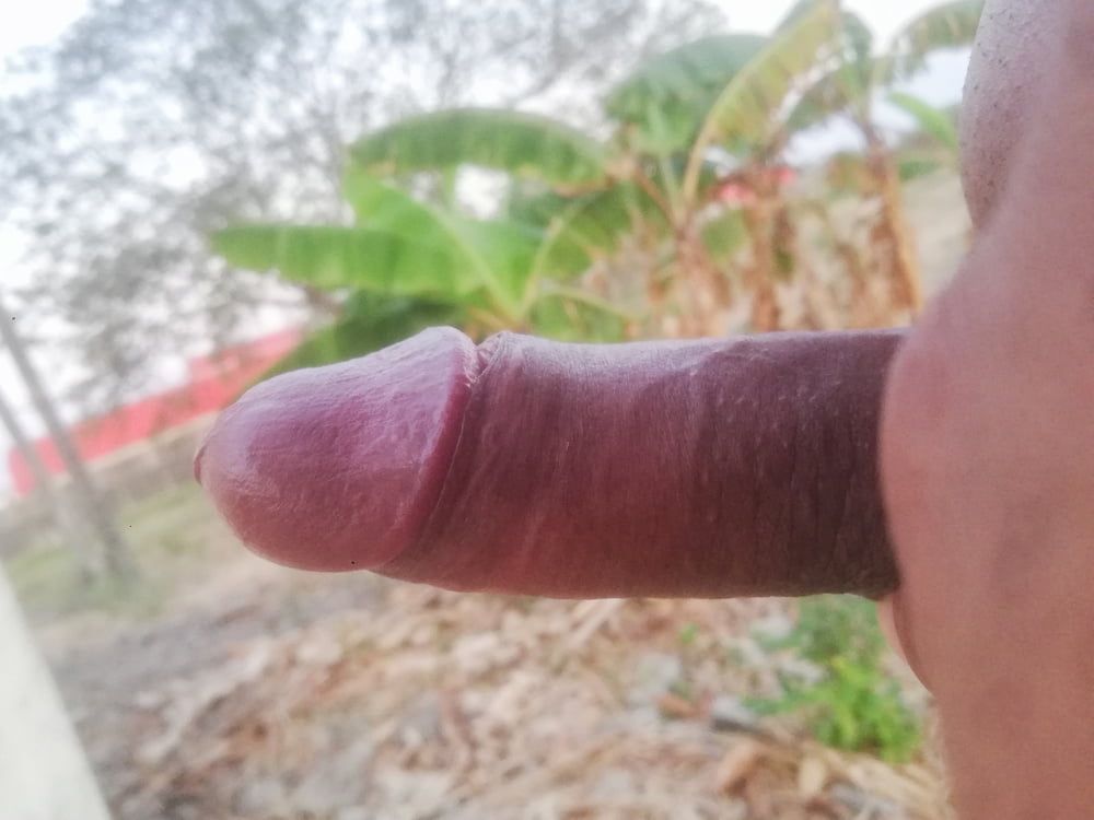 Una Delicia de Pene 15 #21