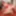 GROOBYVR: Another Ride With June Ferrari! #4