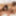 Lola ebony bbw fucked by black cock for creampie #14